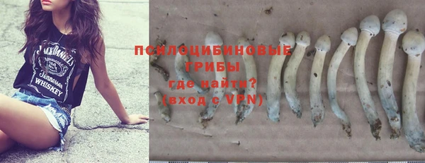 ПСИЛОЦИБИНОВЫЕ ГРИБЫ Киренск