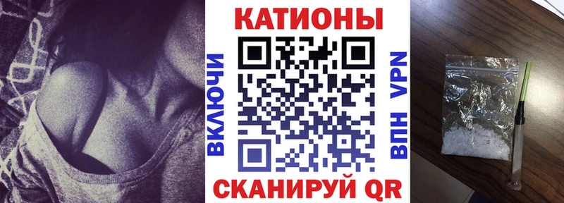 Купить Краснообск МЕФ мяу мяу